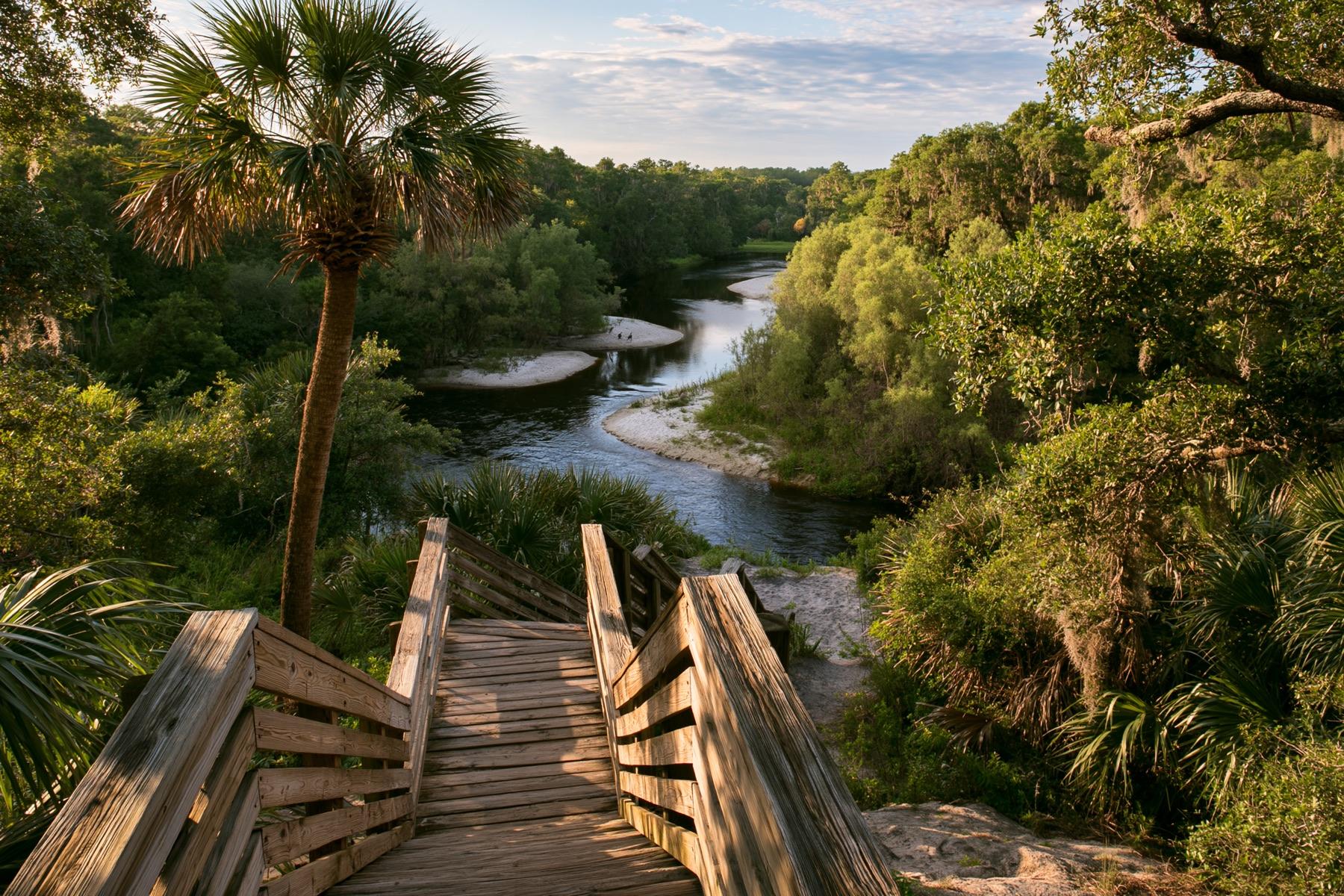 The Peace River winding through the trees near Wauchula, Florida at golden hour